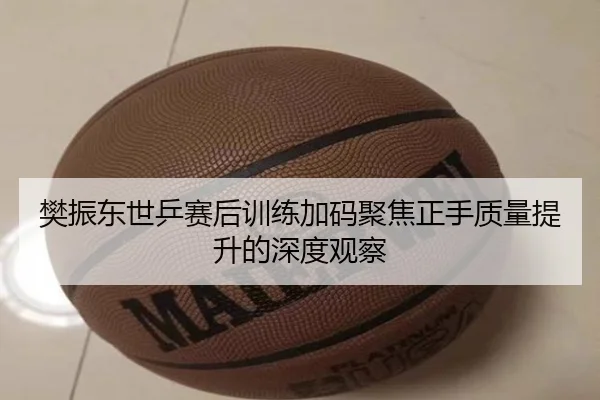 樊振东世乒赛后训练加码聚焦正手质量提升的深度观察